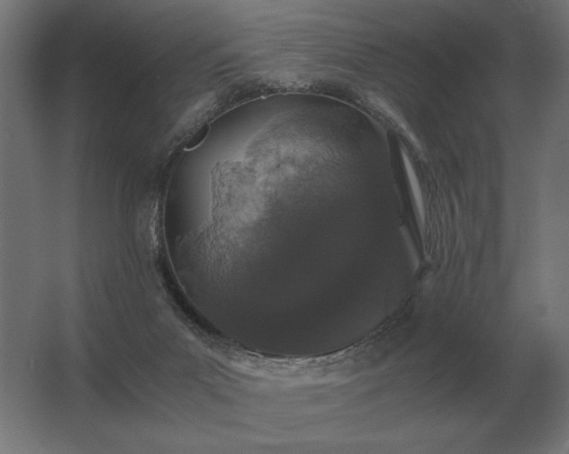 X0000062800023200512290300