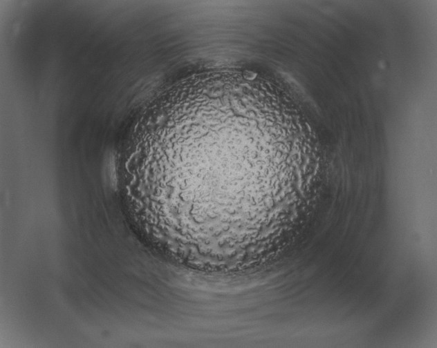 X0000062800026200512290300
