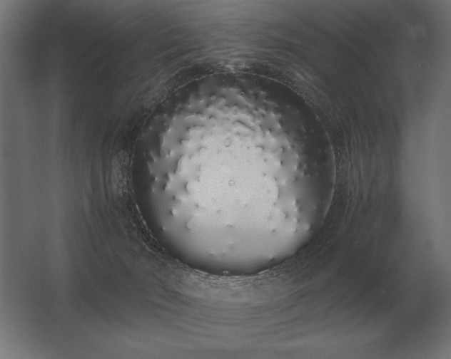 X0000062800030200512290300