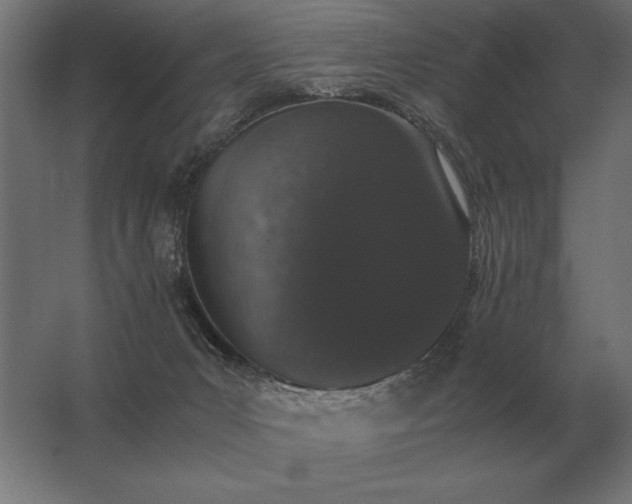 X0000062800031200512290300