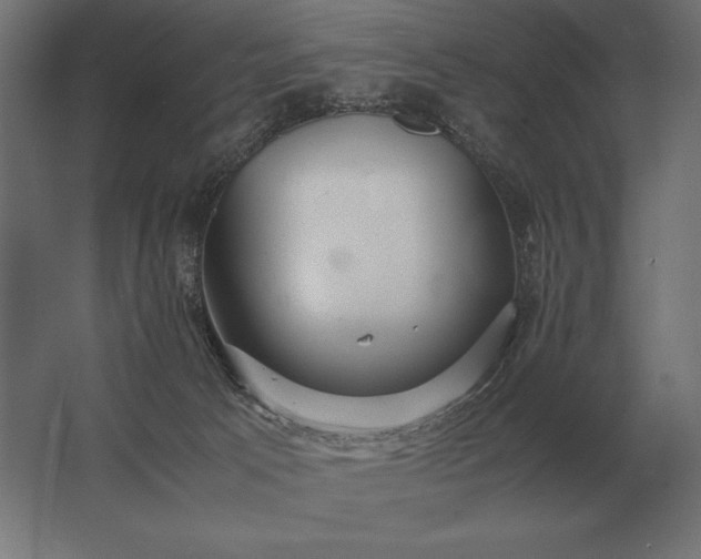 X0000062800033200512290300