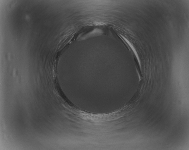 X0000062800039200512290300