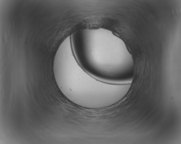 X0000062800041200512290300