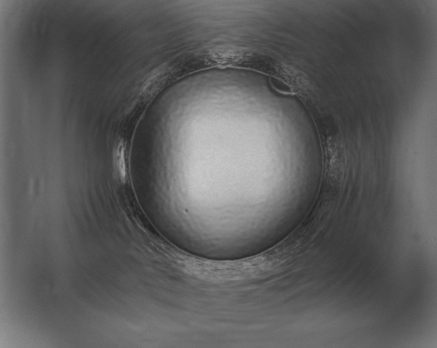 X0000062800042200512290300
