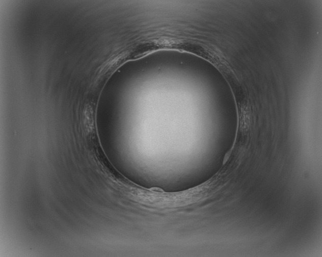 X0000062800043200512290300