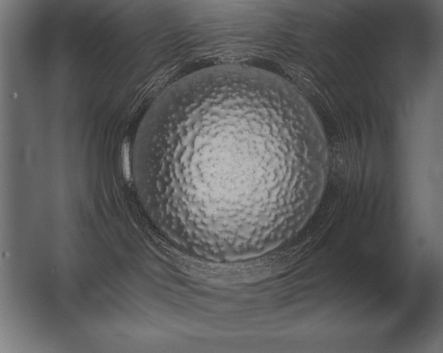 X0000062800046200512290300