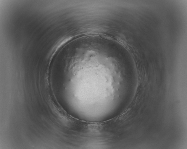 X0000062800050200512290259