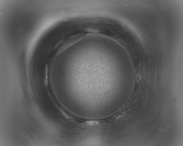 X0000062800052200512290259