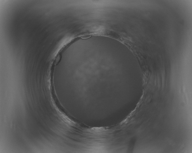 X0000062800054200512290259