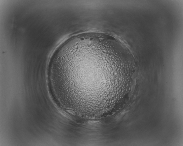 X0000062800055200512290259