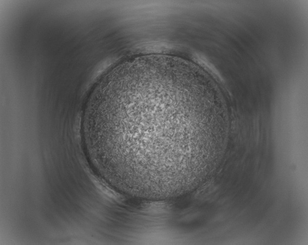 X0000062800058200512290259