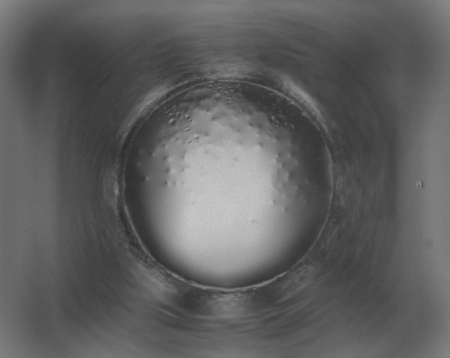 X0000062800059200512290259