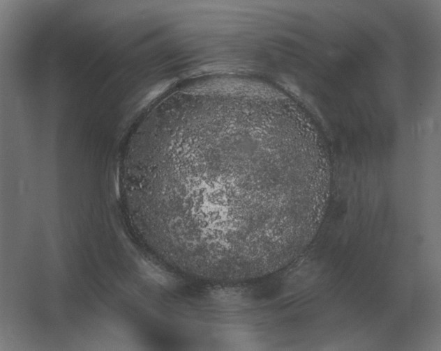 X0000062800062200512290259