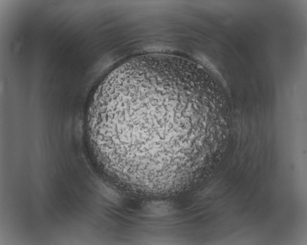X0000062800063200512290259
