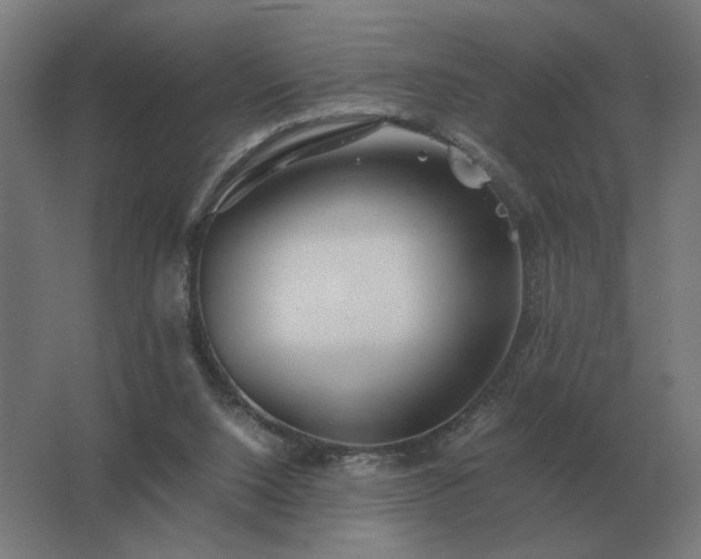 X0000062800064200512290259