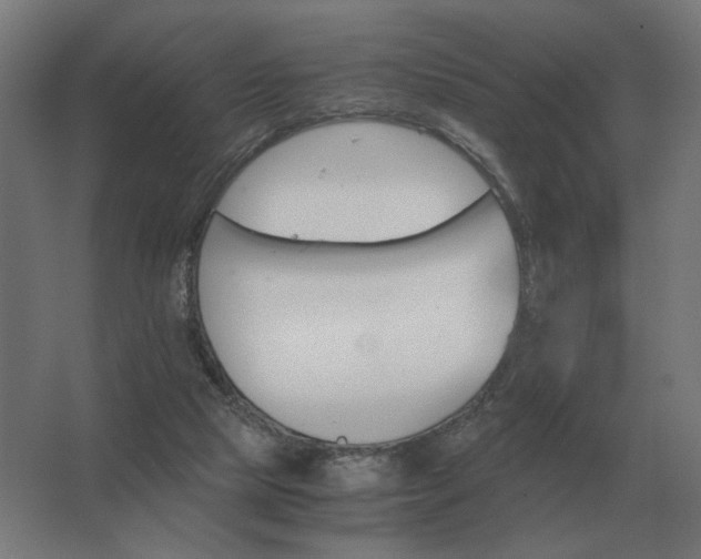 X0000062800065200512290259