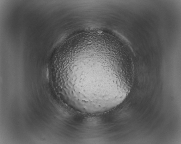 X0000062800067200512290259