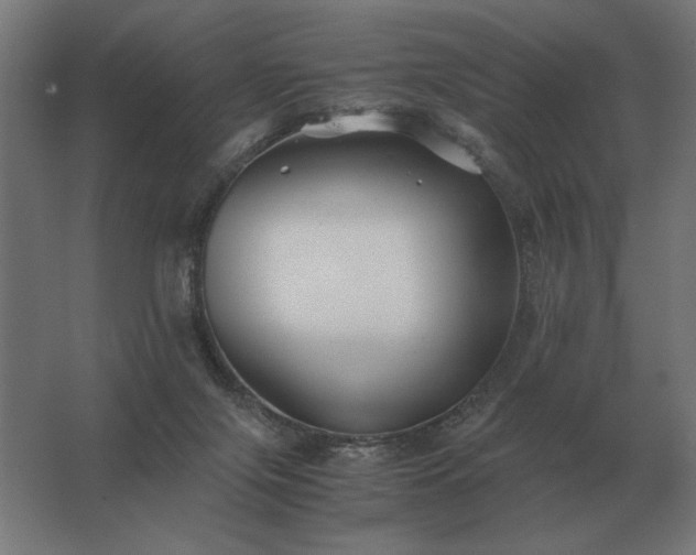 X0000062800071200512290259