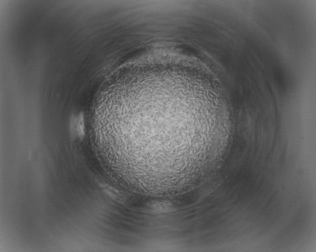 X0000062800075200512290259