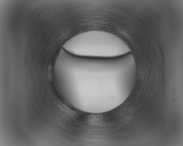 X0000062800077200512290259