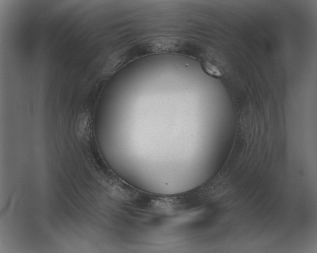 X0000062800079200512290259