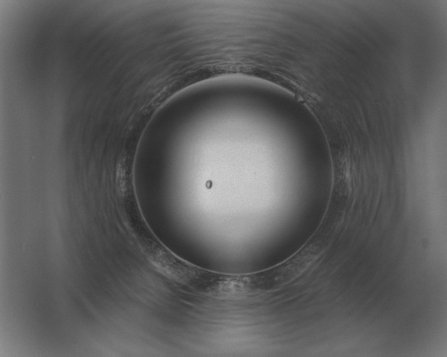 X0000062800080200512290259