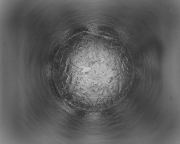 X0000062800081200512290259