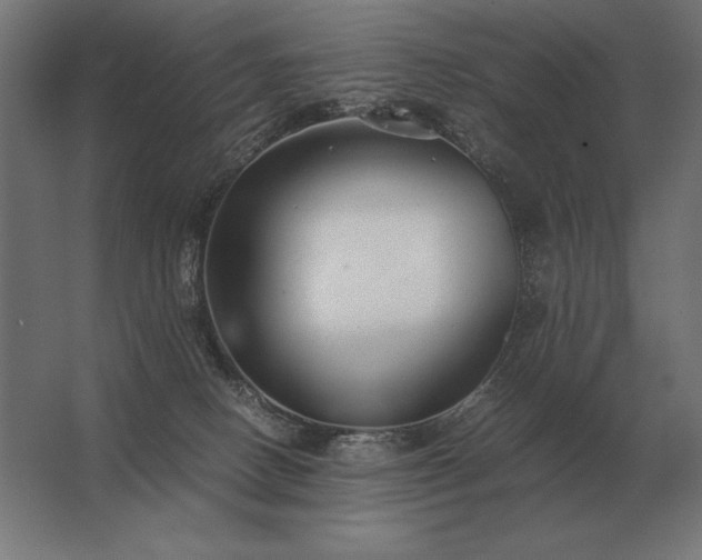 X0000062800082200512290259