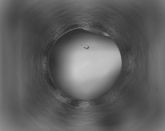 X0000062800083200512290259