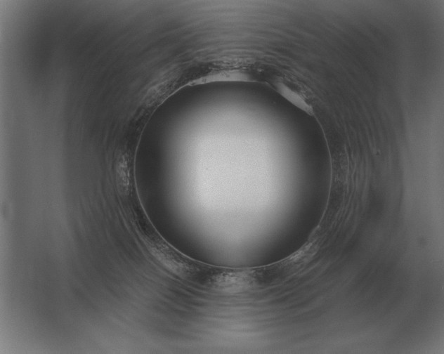 X0000062800086200512290259