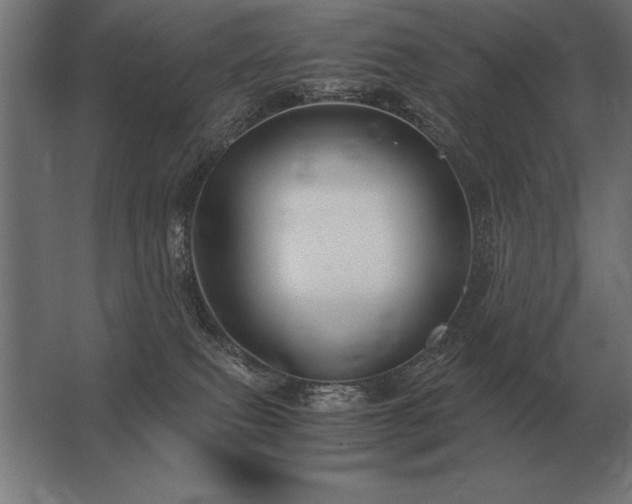 X0000062800087200512290259