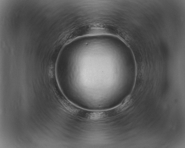 X0000062800090200512290259