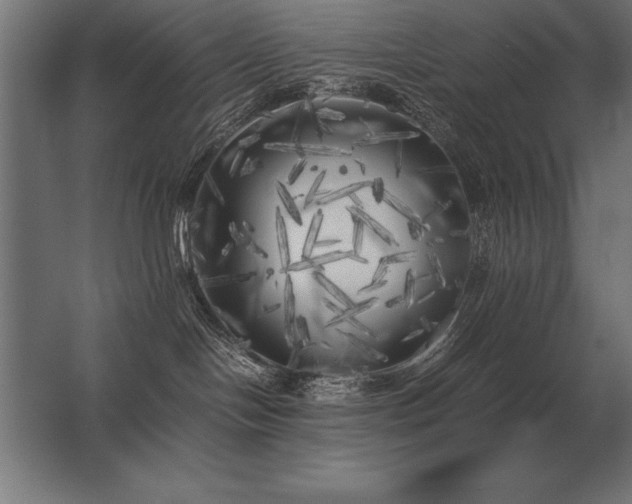 X0000062800094200512290300