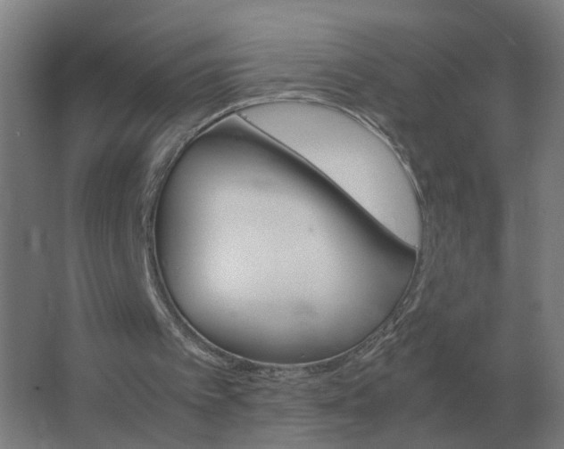 X0000062800097200512290259
