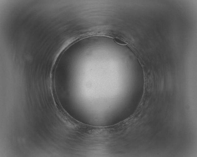 X0000062800100200512290259