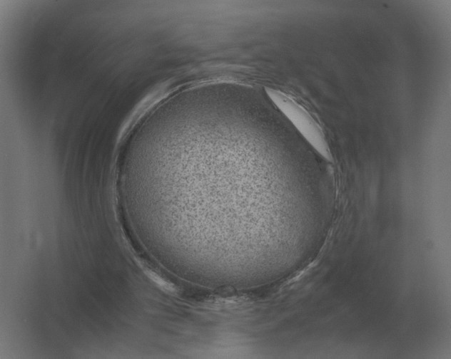 X0000062800101200512290259