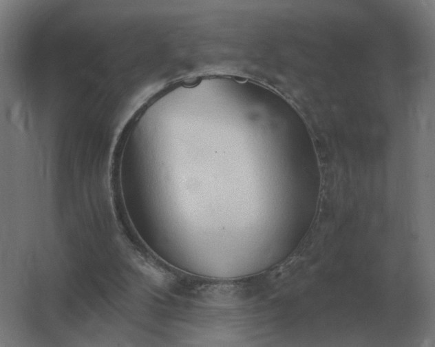 X0000062800104200512290259