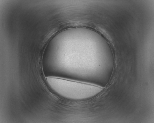 X0000062800105200512290259