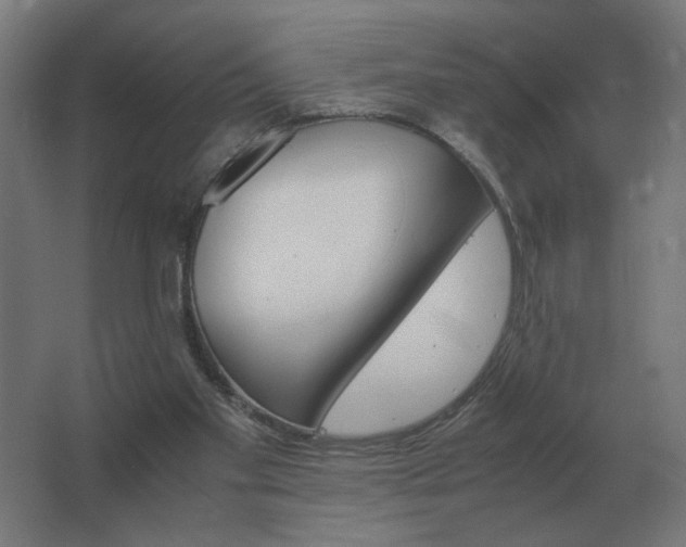 X0000062800109200512290259