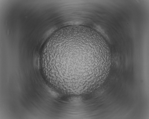 X0000062800110200512290259