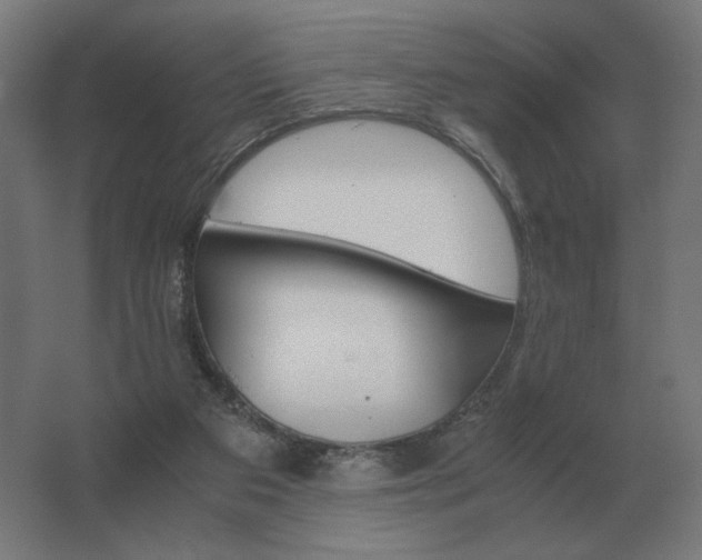 X0000062800113200512290259