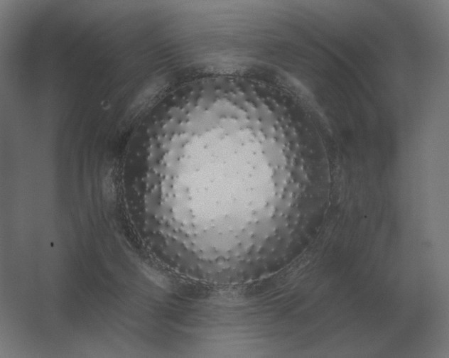 X0000062800114200512290258