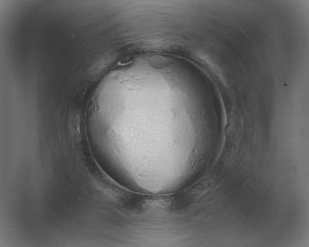 X0000062800115200512290258