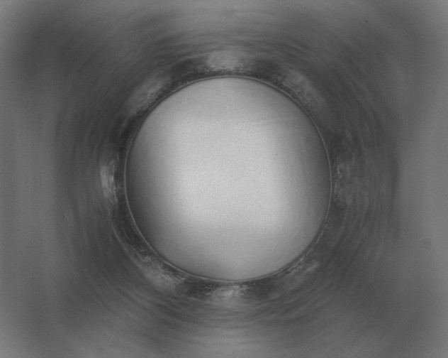 X0000062800116200512290258