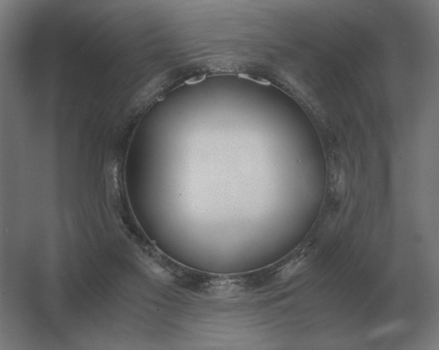 X0000062800117200512290258