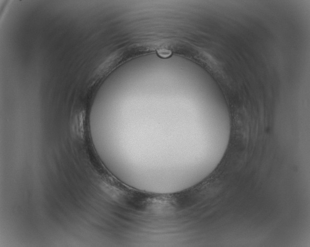X0000062800118200512290258