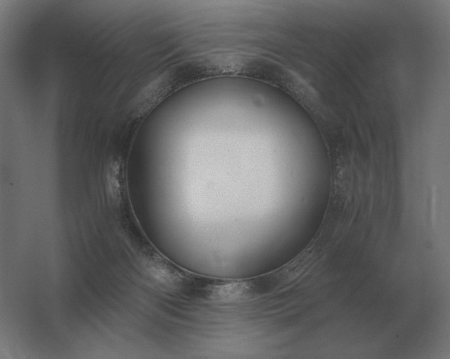 X0000062800122200512290258