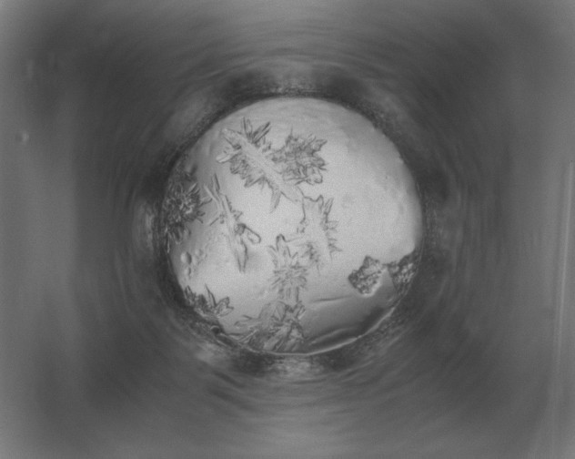 X0000062800123200512290258