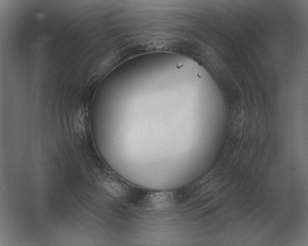 X0000062800126200512290258