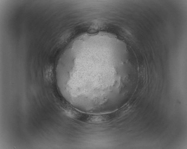 X0000062800127200512290258